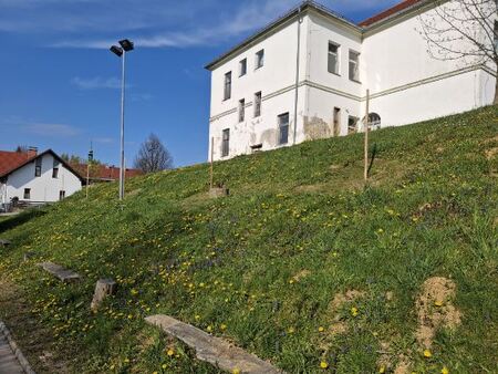 Sajenje na Polenšaku 3